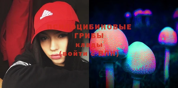 МДПВ Карпинск