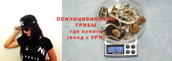 МДПВ Карпинск