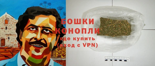 МДПВ Карпинск