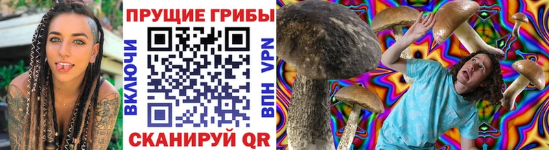 Галлюциногенные грибы Psilocybe Ангарск