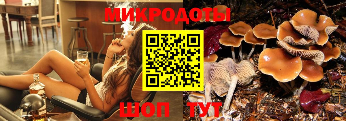 Галлюциногенные грибы Magic Shrooms  где купить   Вход с VPN  Ангарск  Псилоцибиновые грибы мицелий 